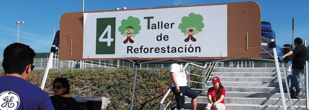 Reforestación